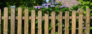 Beautiful Fence and Flowers